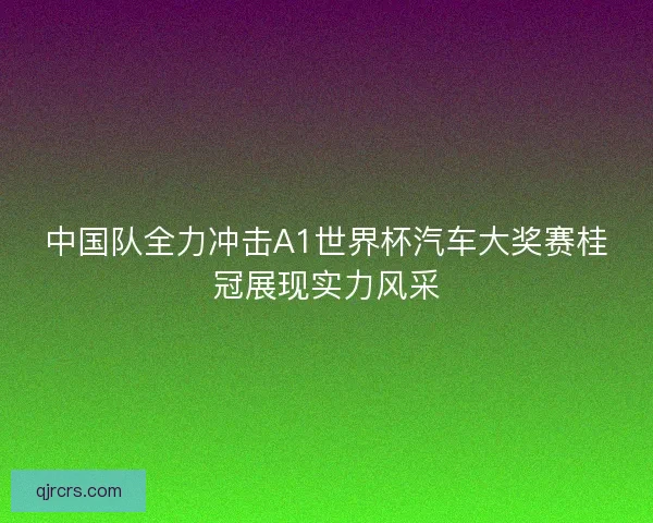 中国队全力冲击A1世界杯汽车大奖赛桂冠展现实力风采